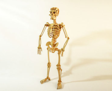 Esqueleto Humano 109 Peças